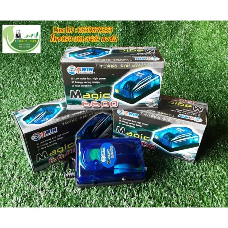 ?????? MAGIC 6600 ???????????? ???????????????? ??? ???????? ???????