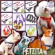 🇹🇭พร้อมส่ง🇹🇭 รัดอก สายรัดอกสุนัข harness +พร้อมสายจูง (มีปลอกคอขายแยก) 🐶🐱 for pet สัตว์เลี้ยง สุนัข แมว หมา
