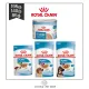 อาหารเปียกสุนัข Royal Canin โรยัลคานิน อาหารแม่สุนัข & ลูกสุนัข (ขนาด195g. / 140g. / 85g.)
