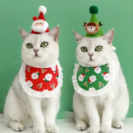 Pets Cat Dog Cartoon Plush Christmas Santa Elk Red and Green Hat Headdress Lace Bib Saliva Set Xmas Gift for Kitten
