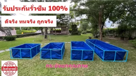 ???????????????? ??????? ??? 0.35 ????????? ????????? 100% ??????