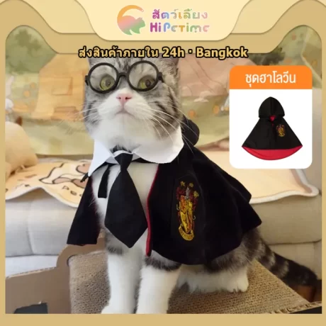 ??????????????????????????? Potter School of Magic ?????????????????????????