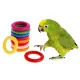 HTRF Colorful Parrots atiel Wood Ring Ornament Pet Supplies Bird Toys