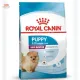 Royal Canin Mini Indoor puppy 3kg สูตร ลูกหมา เลี้ยงในบ้าน 3 kg
