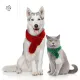 HGII 1ชิ้นค่ะ S/M/L นุ่มนุ่มๆ ถักนิตติ้ง เก็บความอบอุ่น แดง/เขียว ผ้าพันคอลูกแมว อุปกรณ์เสริมสำหรับสุนัข ผ้าพันคอคริสต์มาสสัตว์เลี้ยง ผ้าพันคอแมวผ้าพันคอ