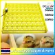 Automatic egg turner, egg incubation tray, egg incubation chute, automatic egg turning, low power consumption, 220v, 32 eggs, 48 ??eggs, 56 eggs