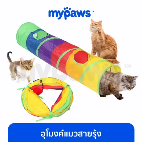 My paws cat tunnel toy (D)