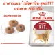 Royal Canin Cat Fit 32 อาหารแมวรูปร่างดี 1-7 ปี (แบ่งขายถุงใส 500g)