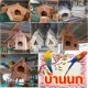 * บ้านนก บ้านไม้นก บ้านสัตว์เลี้ยง บ้านนกนอน สำหรับ นก หนู กระรอก ชูก้า ไกรเดอร์ นกหงษ์หยก มีที่แขวน ทำจากไม้สักทอง สวยงาม แข็งแรง ทนทาน *