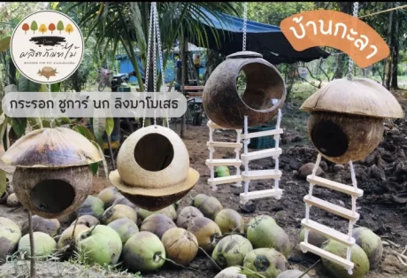 ?????????????? ?????? ???????????? ????????????????????????? ???????? ?????????? ?????????????? ???? 18-25 cm.