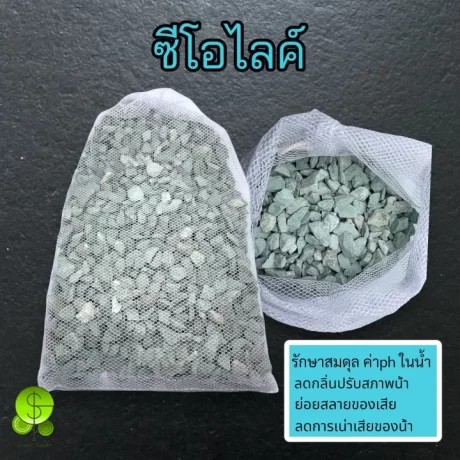 ???????? ?????????? ????????? ?????????????????????? ??????????????????? ?????? ???? 500 ????