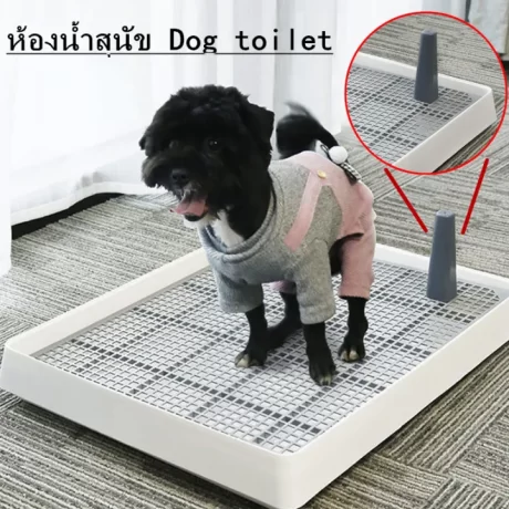 ?LonlyDance??????????????? ???????????? ??????????????? ?????????????? ?????????????????? ??????????????????????