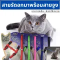 Leashes for cats and dogs, cat leashes, cat harnesses, collars and leashes wholesale directly from the factory. Good quality products, ready for delivery