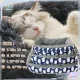 Pet Dog Bed Cat Bed Cat Bed Soft Cat Bed Sleeping cushion, soft mattress, fleece cushion for pets, dogs and cats. No pillow.