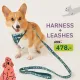 Dr.Paw Dog and Cat Soft Harness and Leashes