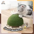 ⭐Mylittle⭐Cat Scratcher scratcher cat turtle scratcher scratcher cat scratcher cat scratcher cat pet supplies🐢