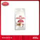 [MANOON] ROYAL CANIN Regular Fit 32 400g