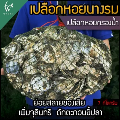 ????????? ????????????????? ???????????????? ?????????????????? ???????????? ??????????????????