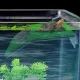 Loviver Turtle Basking Platform, Reptile Tank Ladder, Reptile Habitat Terrace Simulation Grass Turtle Ramp for Small Reptiles Turtles