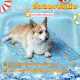 cat cooling gel pad cool gel mattress pet bed Cool the pet down Special pet ice sheet for summer