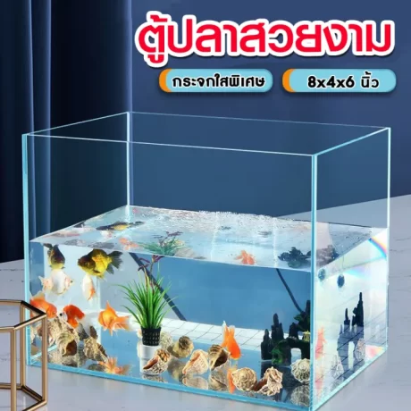 ???????????? ?????? LID 8???? ???????????? (???? 8x4x6 ????) ??????????????????????