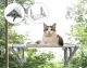 F- Cat cradle with glass XL can support weight up to 20 kg. Cat cradle, cat bed, cat cradle with window, glass, cat bed.