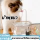Pawblicc✅Automatic pet cat water fountain 1.5 liter CAT water filter