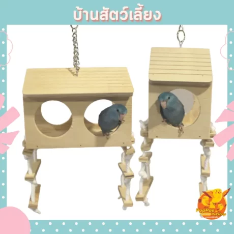 ??????????????? ???????? ?????? ????????? ?????????? ?????????????? ????? ???????? ????????? ??????????????????