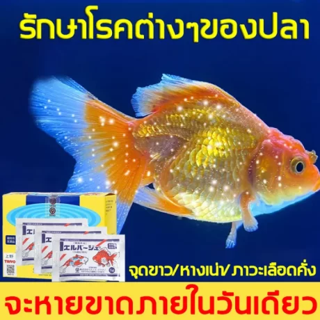 ???????? ??????????????? ????????????????? ?????????? ???????????????????? ?????????????? ???????? ??????????? ???????????? Japanese Yellow Powder