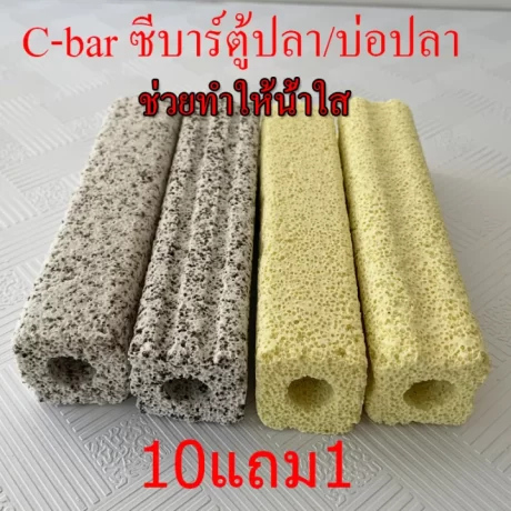 ???????? ????????????? ?????????????? ???????????? ?????? C-bar ????????????????????