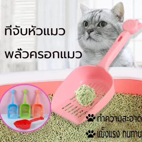 ????????????? ?????????????? ???????????? ???????? ???????????????????? ???????????? ?????????????????????????????????????????????????????? ???????????? ??????????? ???????????????????