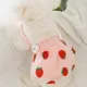 DY Loving Cute Pet Costume Dog Jumpsuit Strawberry Applique Gauze Tutu Skirt 3D Cloud Cat Shirt Caidigan Ladylike Female Cat Dress