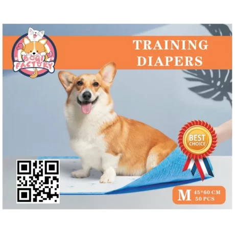 Boqi Factory ?????????? Cocoyo ????????????????????? ???????? ??? ??????? ??????????? (?????????) ???? M