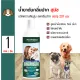 Pet Protect Dog Original Water Additive Dental Care With Oxygen Water, Zinc and Mint?For All Breed Dogs (237 ml./Bottle)