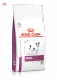 Royal Canin Renal small dog 1.5 Kg อาหารสุนัขเป็นไต พันธุ์เล็ก