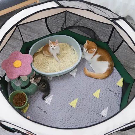 ?????????????? ???????????? ?????? ?????? ??????????????? ???????????? ????????? ?????? ?????????????????????? ??2????