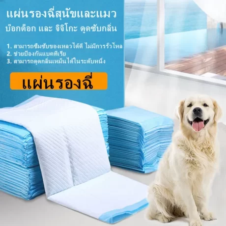 ??????????????? ????????????? ?????????????? ?????????? ??????????? ????????????????????? ??????????? ?????????? ????????????????????