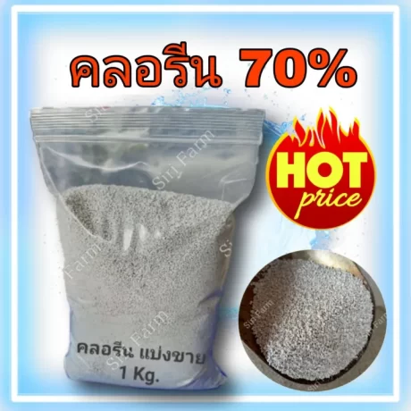 ??????70% ??????90% ????????????? ??????? 1 ????????