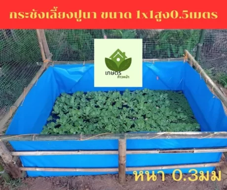 Shrimp crab colander, beautiful fish size 1x1, height 0.5 meters, thickness 0.3mm.