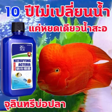 ?????????????????????????????12??🐟🐠 ????????????? ????????????????????? 535ml ???????? ?????? ???????? ??????????????????? ????????????????? ????????????? ??????????????????????? ??????????????? ????????????? ?????????????? ??????????? ?????????????