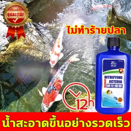 ?????????? ?????????????? ???????????????? 12 ??????????????????? ??????????????????????? ???????????? ????????????? ?????????????????????? ????????????? ???????? ????????????????????? ?????????????? ?????????????? ?????????????