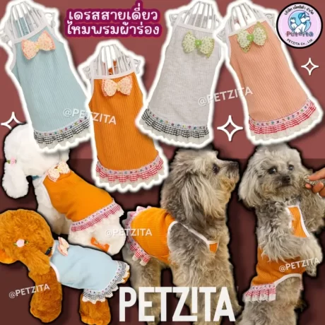 🇹🇭??????????????🇹🇭 🐶🐱🎀 ?????????????????????????? ?????????? ??????????????????? ????????? ???????? ??????