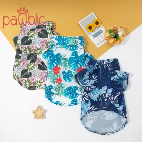 Pawblic 🐕????????????????????????? ?????????? ???????? ??????????????????? ??????????????? ??????????????????????