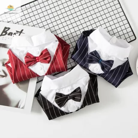 AIRER ???? ?????????? ?????????????? ??????? ???????? ??????????? ????????? ?????????????????? ???????? ?????????? ?????????????????? ???????????