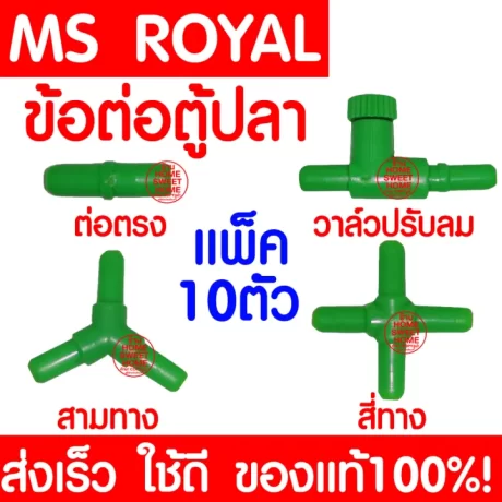 *10????* ???????????? ?????? MS ROYAL (??????/??????/??????/???????????) ??????????????????????????? ??????????????? ????????? ??????