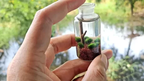 ?????????????????????????????????