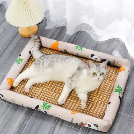 ZHONGLIAN ?????????? 2023 ?????????????? ???????????? ????????????????????????????? ????????????????? ???????????? ??????????? ????????????