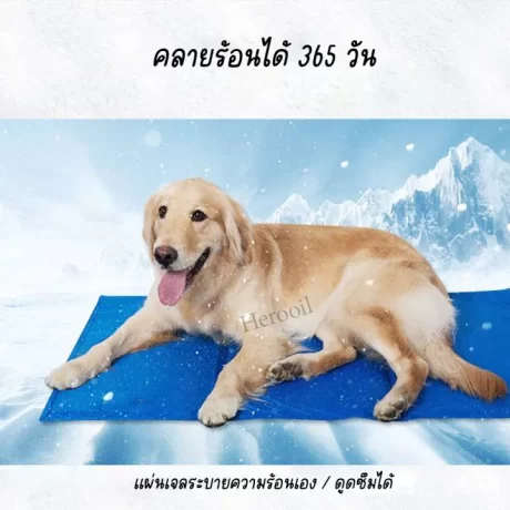 Pet Cool mat ????????????? ??????????????? ??????????? ?????????? ?????????????? ????????????????? ??????????? ????