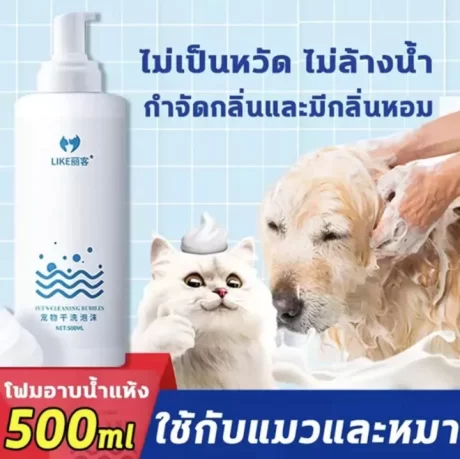 ?????????? ?????????? ???????? ??????? ???????????????? ???????????????????? ??????????? ???????? (??????????), (??????)