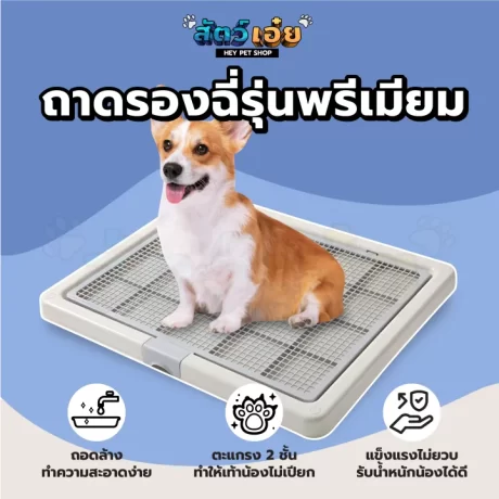 [???????? 65x52] ?????????????? ??????????????????? ???????????? ??????????? ???????????? ?????????? ?????????????